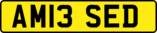 AM13SED