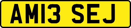 AM13SEJ