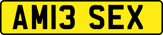 AM13SEX