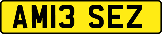 AM13SEZ
