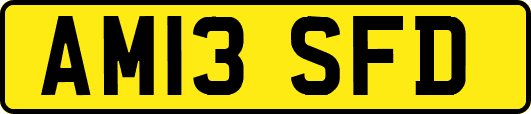 AM13SFD
