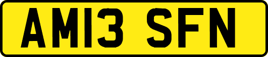 AM13SFN