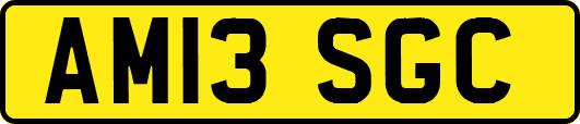 AM13SGC