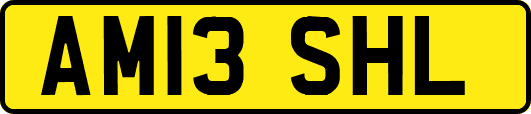 AM13SHL