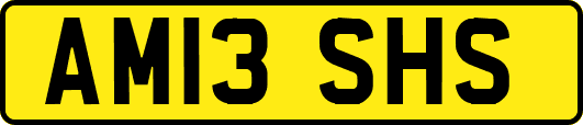 AM13SHS
