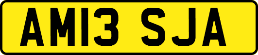 AM13SJA