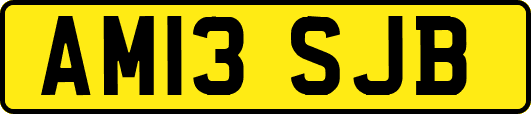 AM13SJB
