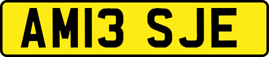 AM13SJE