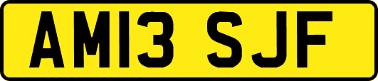 AM13SJF