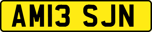 AM13SJN