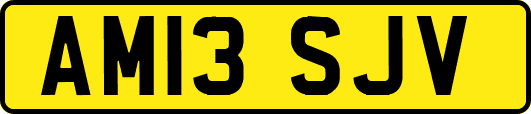 AM13SJV