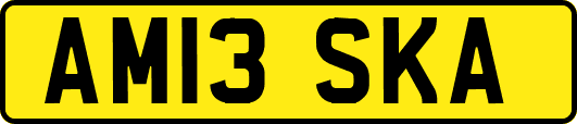 AM13SKA
