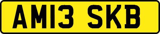 AM13SKB