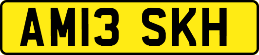 AM13SKH