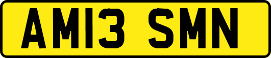 AM13SMN