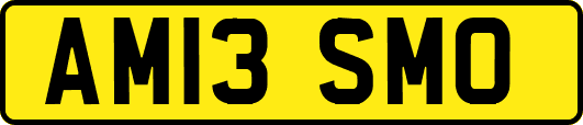AM13SMO