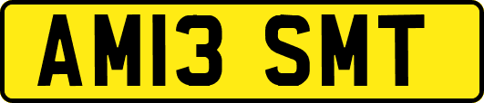 AM13SMT