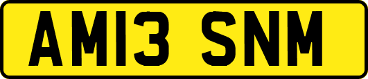 AM13SNM