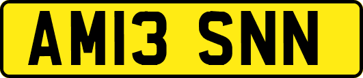 AM13SNN