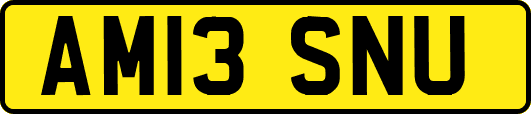 AM13SNU