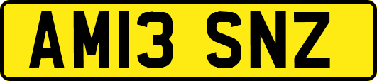 AM13SNZ