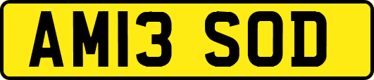 AM13SOD