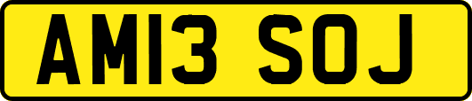 AM13SOJ