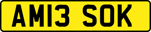 AM13SOK