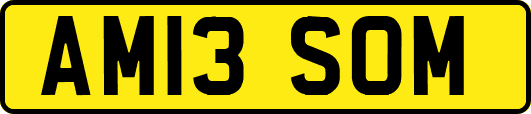 AM13SOM