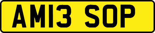 AM13SOP