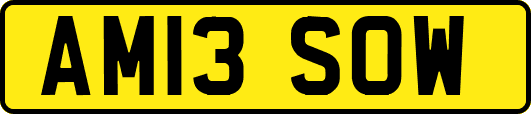 AM13SOW