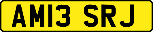 AM13SRJ