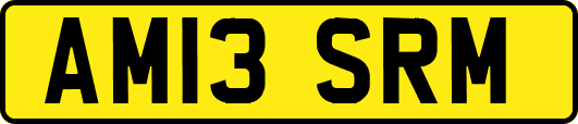 AM13SRM