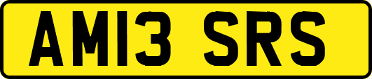AM13SRS