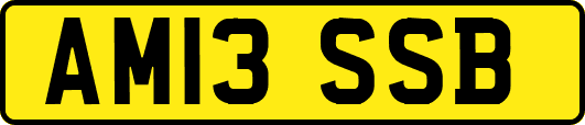 AM13SSB
