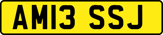 AM13SSJ