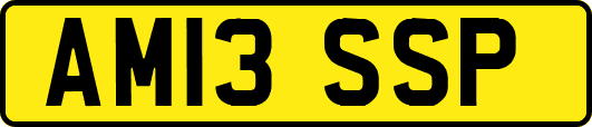 AM13SSP