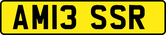 AM13SSR