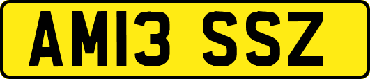 AM13SSZ
