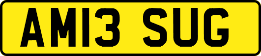 AM13SUG