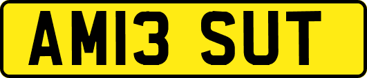 AM13SUT