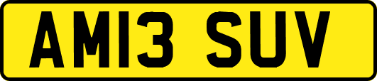 AM13SUV