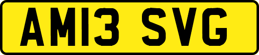 AM13SVG