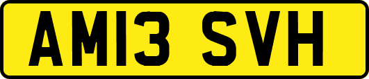 AM13SVH