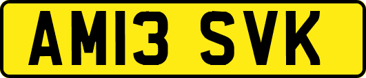 AM13SVK