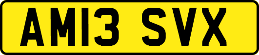 AM13SVX
