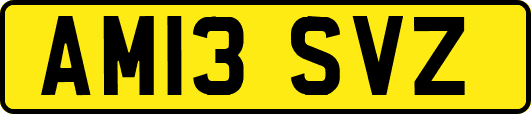 AM13SVZ