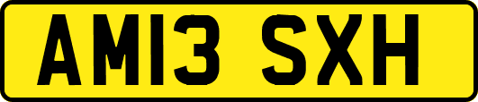 AM13SXH