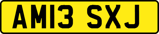 AM13SXJ