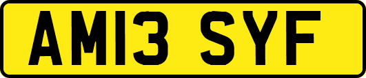 AM13SYF